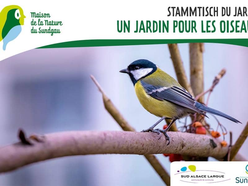 Illustration de l'événement : Stammtisch - Un jardin pour les oiseaux