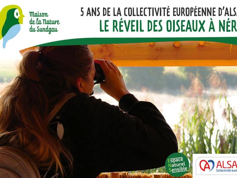 Illustration de l'événement : Le réveil des oiseaux à Nérac - 5 ans de la Collectivité européenne d'Alsace