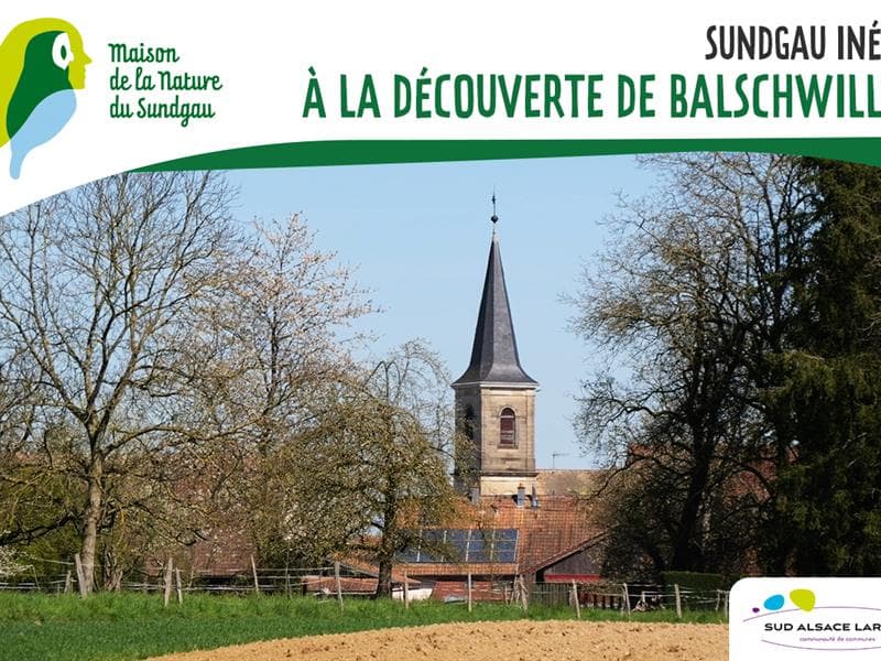 Illustration de l'événement : À la découverte de Balschwiller