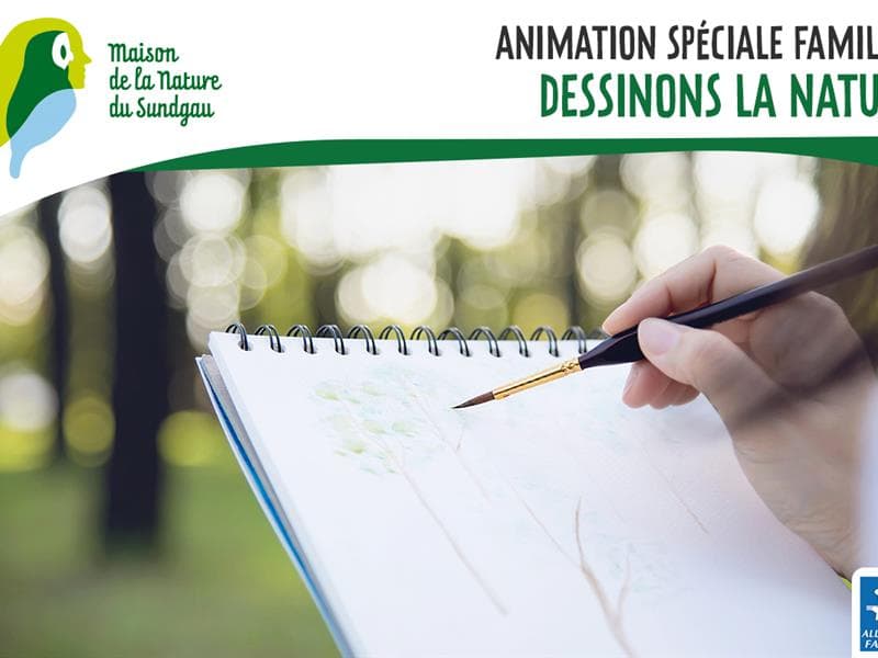 Illustration de l'événement : Dessinons la Nature