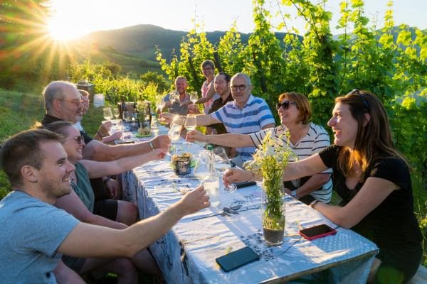 Illustration de l'événement : Balade gourmande au coeur du vignoble