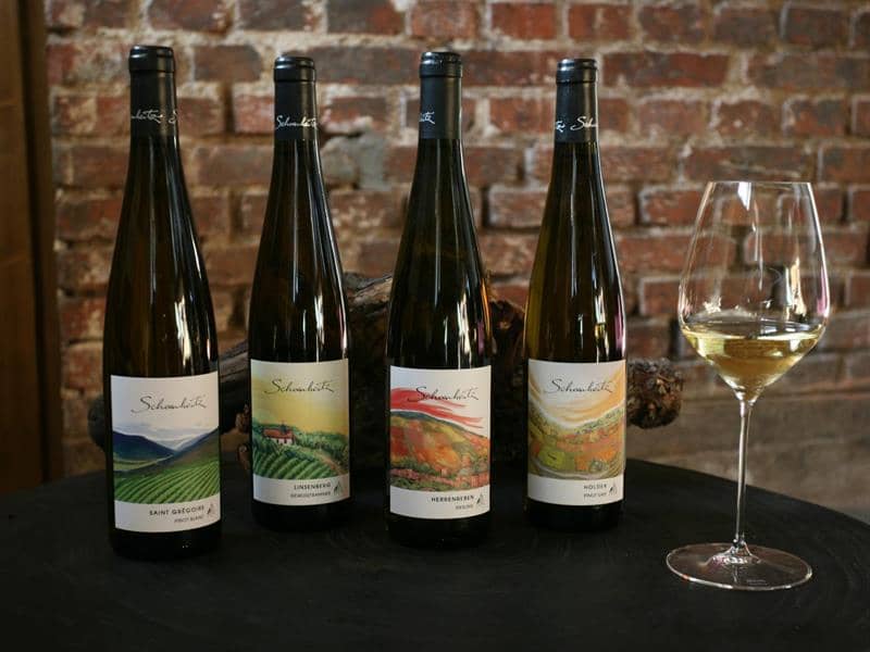 Illustration de l'événement : Vignobles en scène : "Crémant & art" au Domaine Schoenheitz