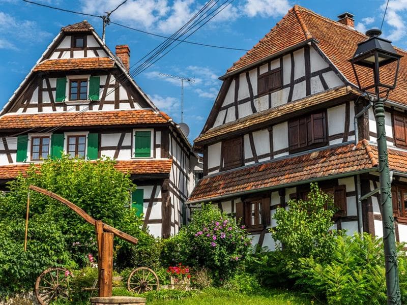 Illustration de l'événement : Exposition : À la découverte de l'Alsace Verte