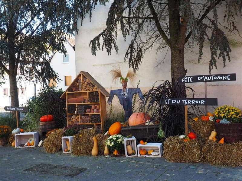 Illustration de l'événement : Fête d'automne et du terroir