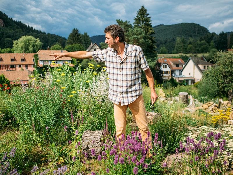 Illustration de l'événement : La biodiversité en Alsace : Hortus Hymenoptera