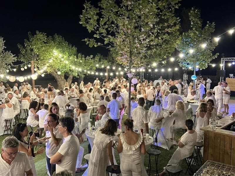 Illustration de l'événement : White Summer Party